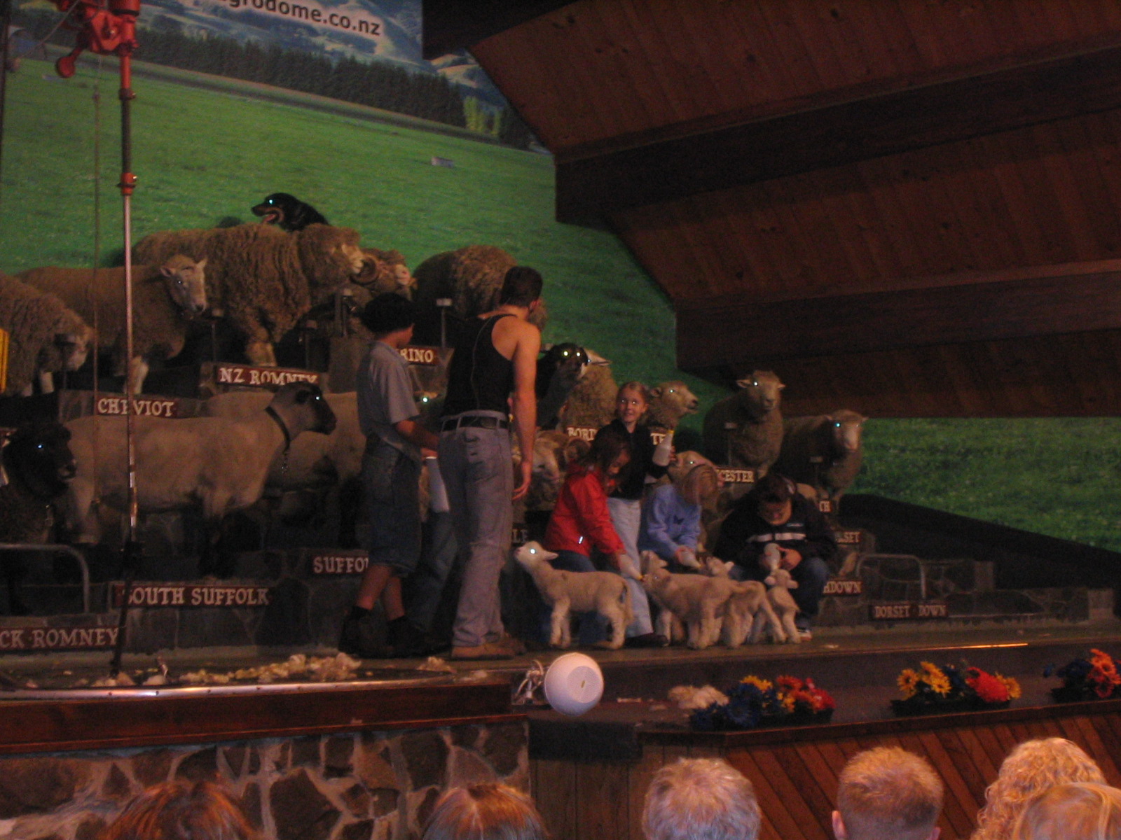 img_0420.jpg