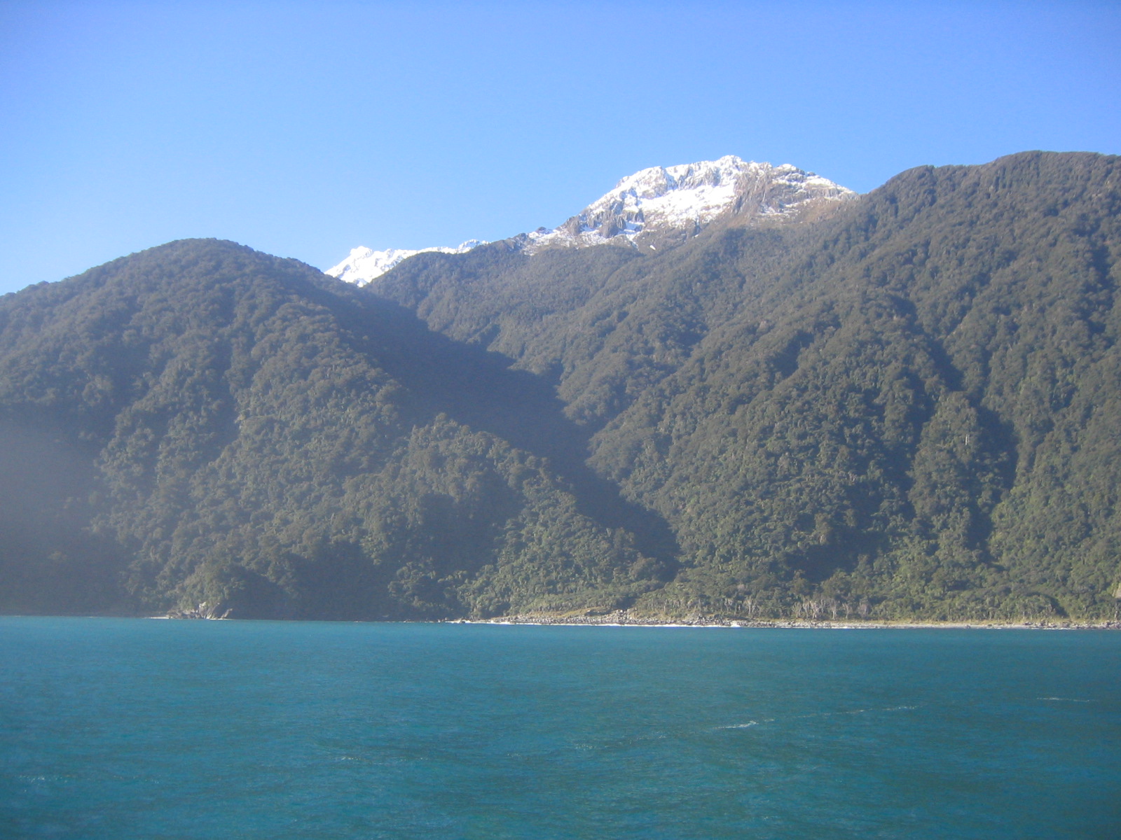 img_0442.jpg