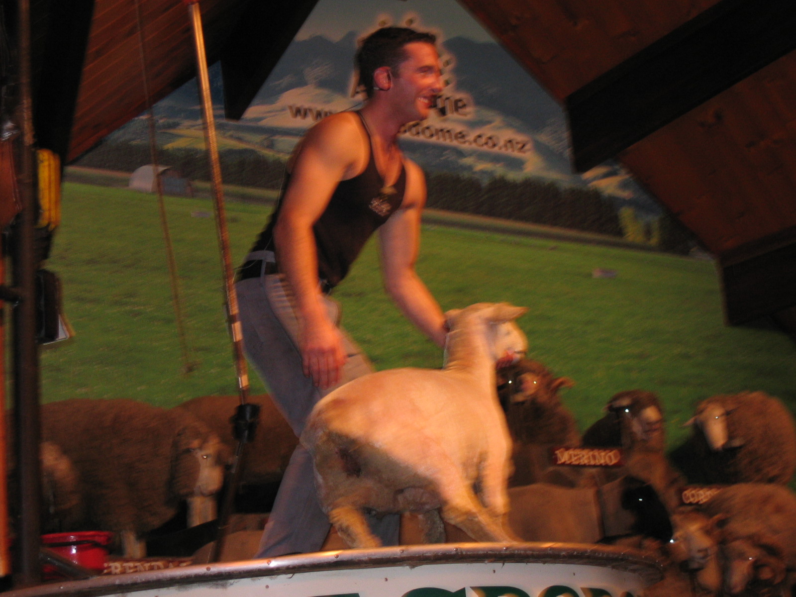 img_2215.jpg