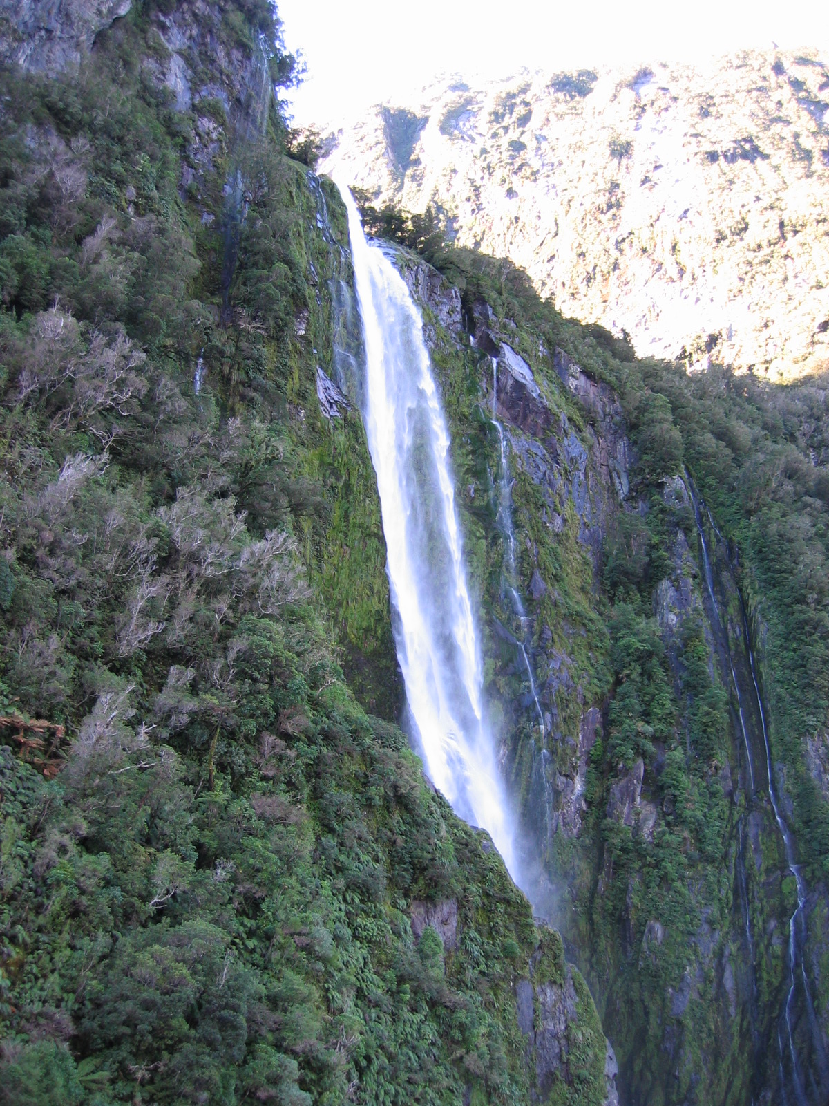 img_2289.jpg